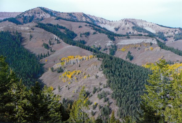 Wyoming Wilderness South of Hoback